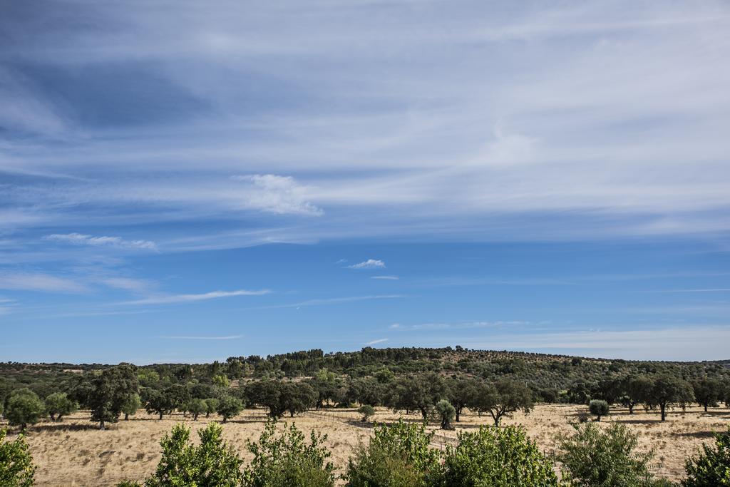 Herdade Dos Alfanges "The Barn" Виана-ду-Алентежу Экстерьер фото